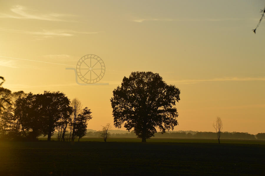 Abendstimmung in der Oberlausitzer Landschaft